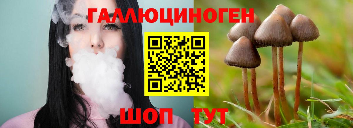 Псилоцибиновые грибы GOLDEN TEACHER  Галлюциногенные грибы Magic Shrooms  купить  сайты  Вход с VPN  Кимры 